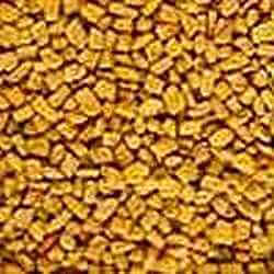 Picture of Fenugreek Seeds Picture of Methi Seeds