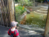 Adelaide Zoo