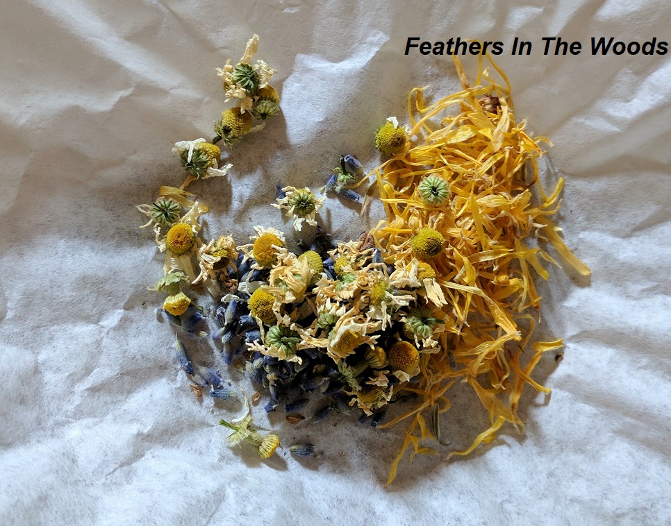 Soothe a sunburn with a tea bath! Feathers in the woods