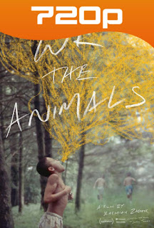 We the Animals (2018) HD 720p Latino 