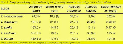 Συγκριτική αξιολόγηση πέντε ειδών σιταριού