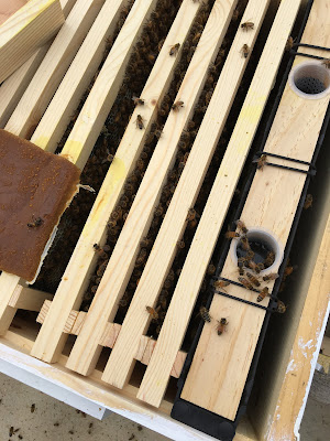 feeder inside a hive