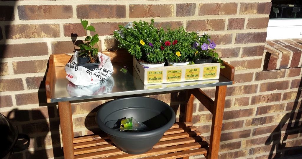 Sternensinn Garten Und Mehr Pflanzen Und Terrasse