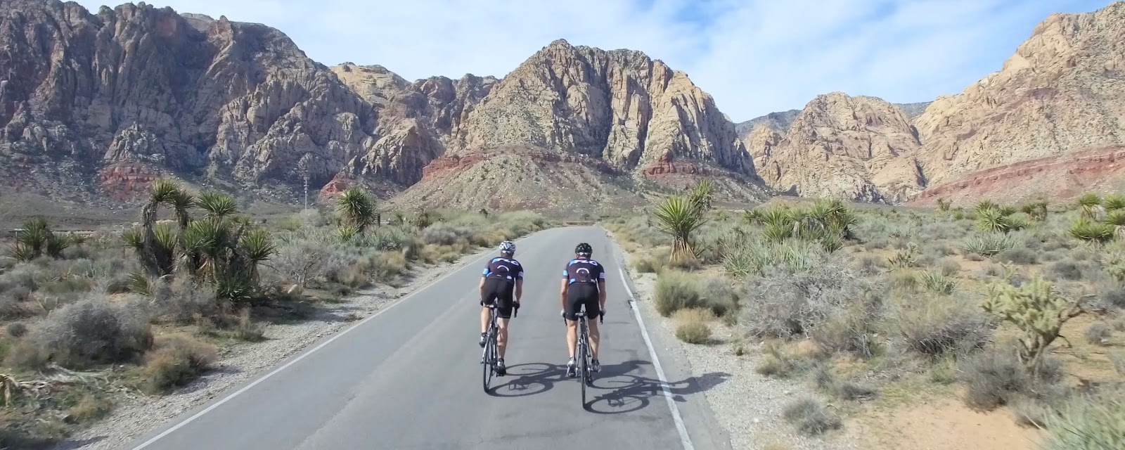 consumer direct road bikes