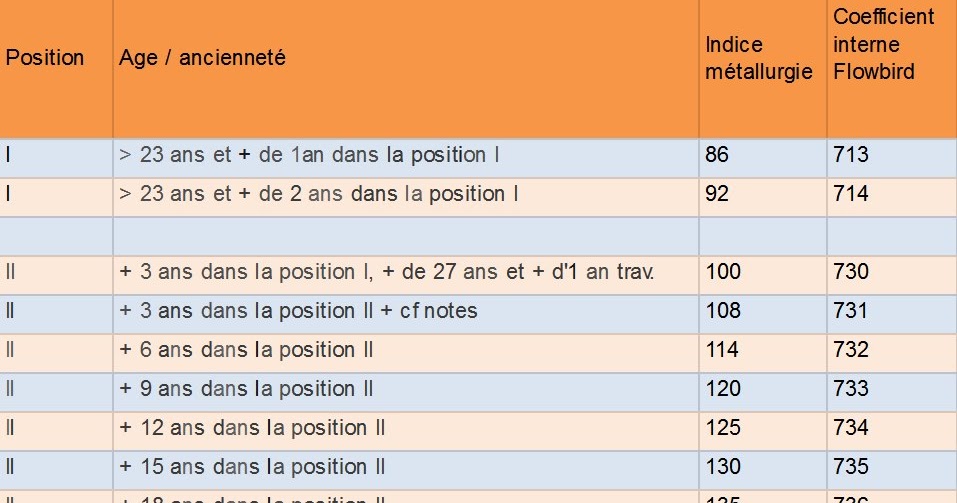 CFDT FLOWBIRD Ingénieurs et cadres FLOWBIRD êtesvous au bon coefficient?
