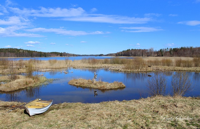 Vene Orjainlahden kosteikon rannalla