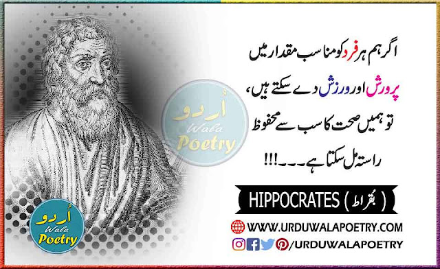 Buqraat Quotes, Hippocrates Quotes