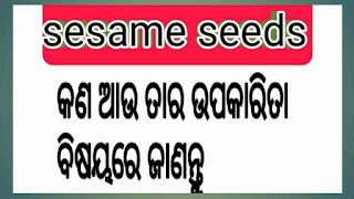 Sesame seeds in odia