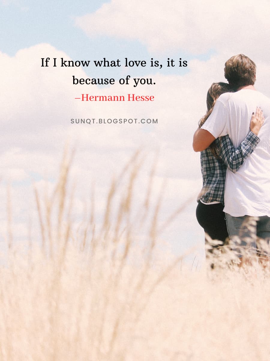 If I know what love is, it is because of you. –Hermann Hesse - SunQuotes