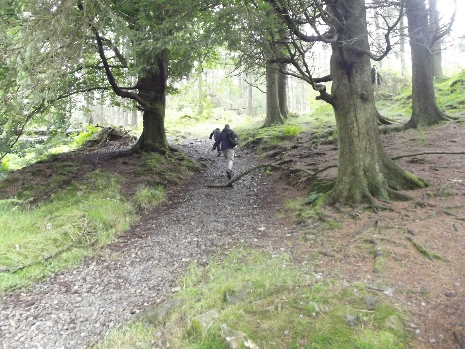 two people walking through the woods