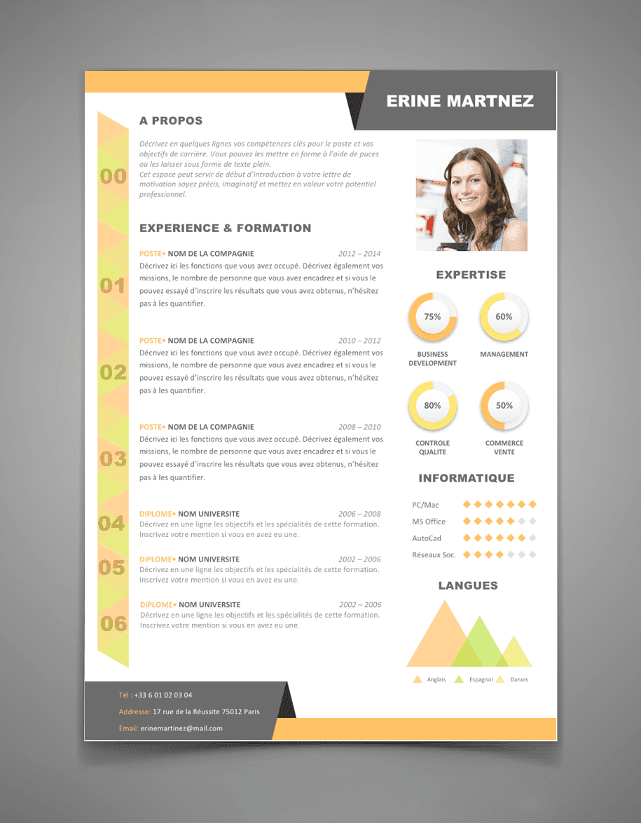 Les meilleurs exemples des CV designs et modernes format