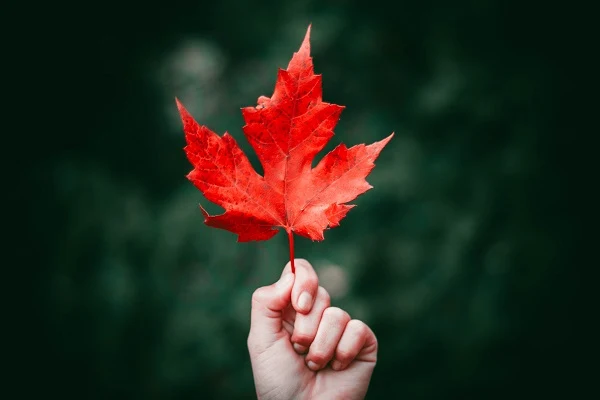 Cómo-Fotografiar-Los-Colores-Del-Otoño