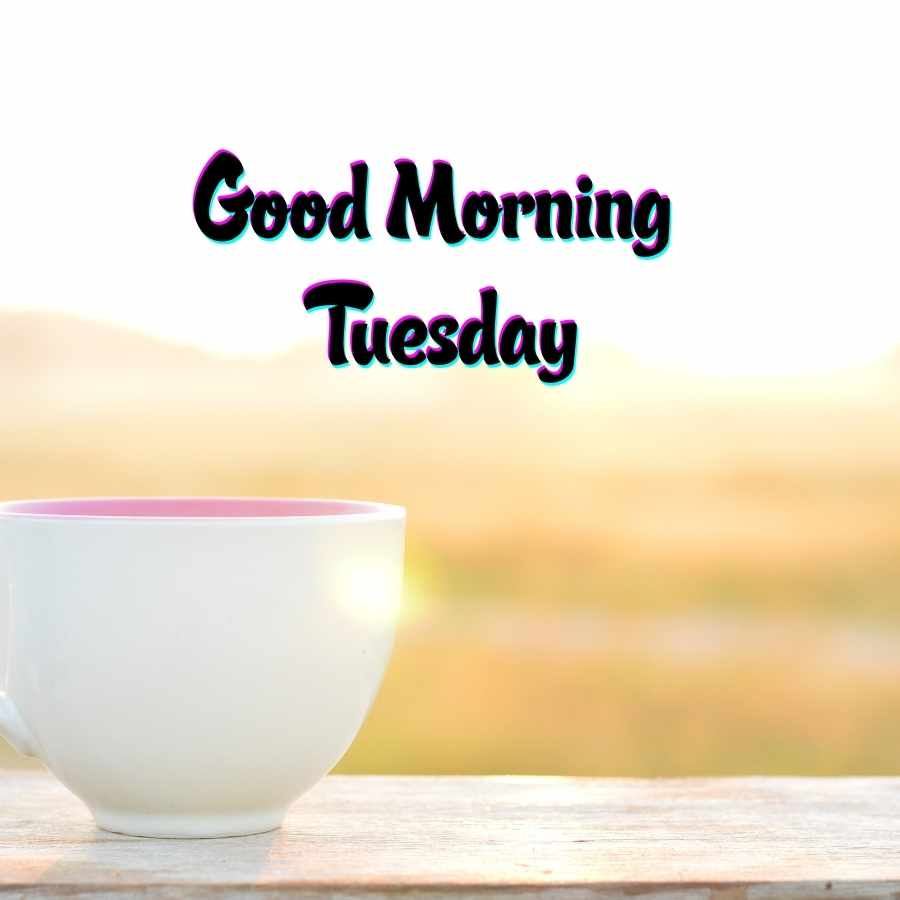 good morning photo tuesday