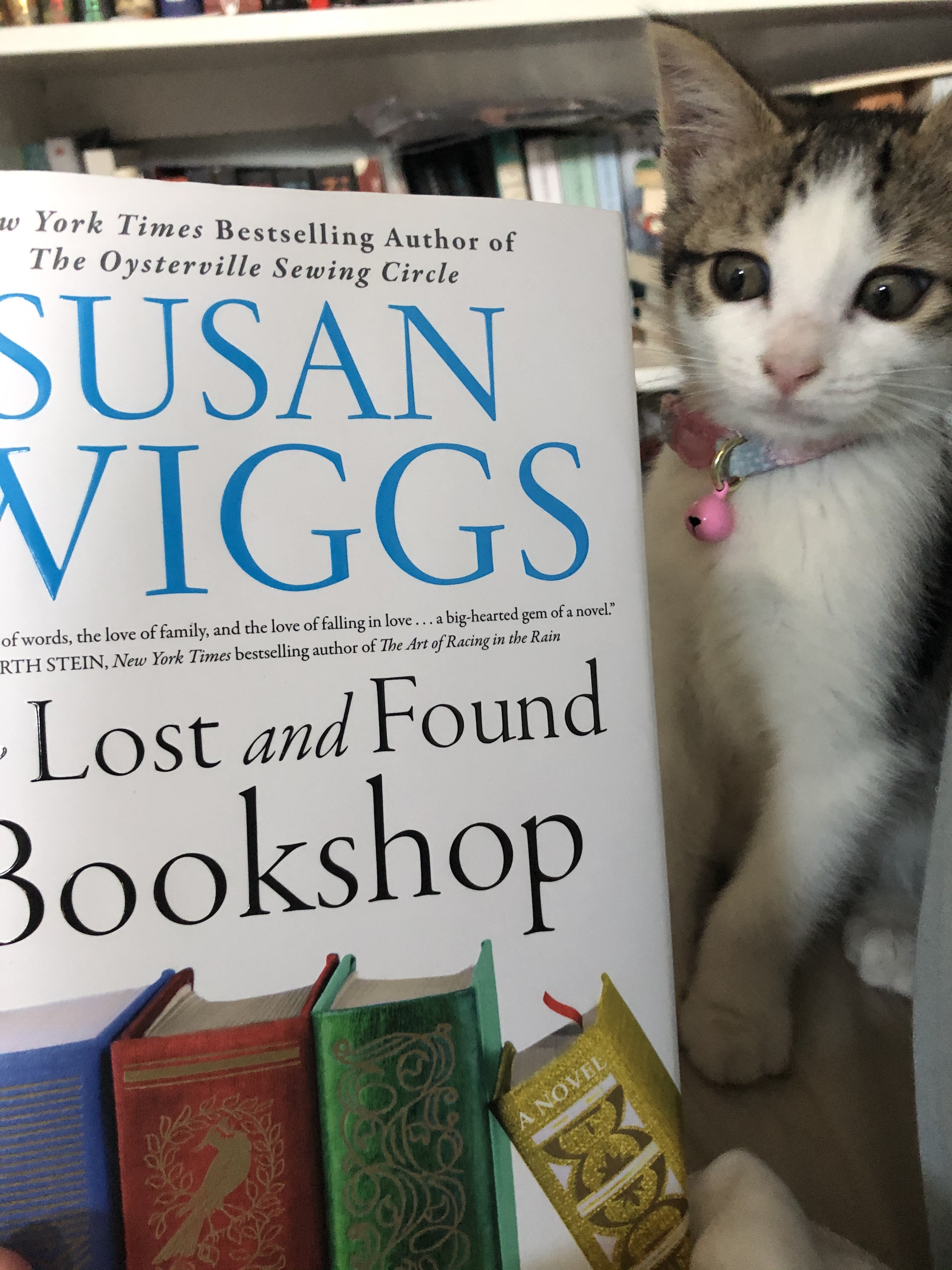 Hopelessly Reading The Lost and Found by Susan Wiggs