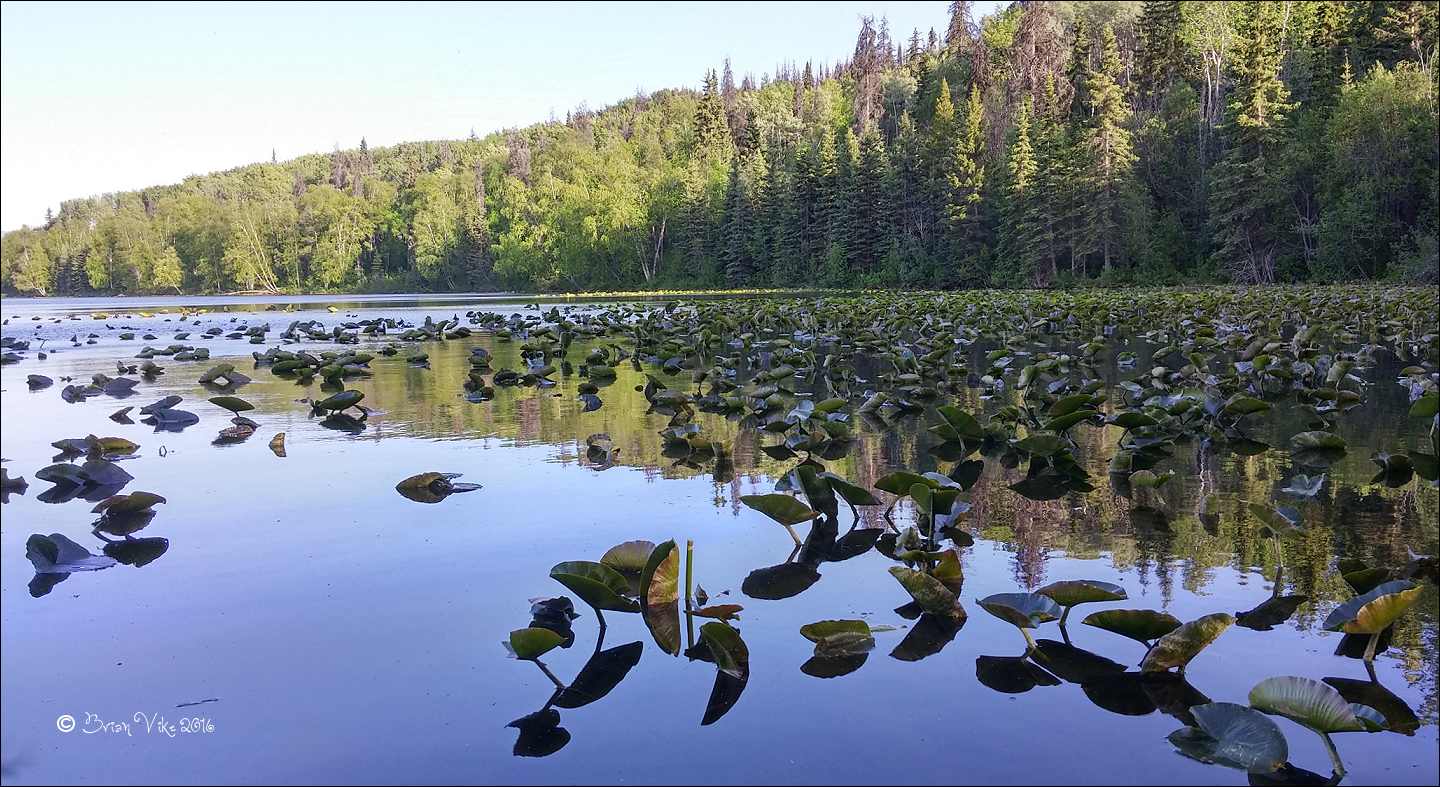 Northern Interior British Columbia A May Evening At Klinger Lake