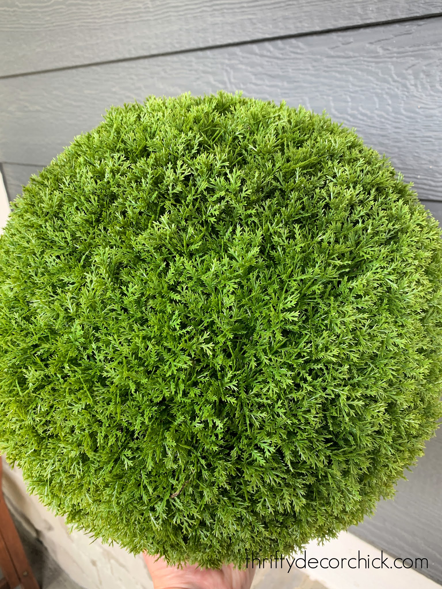 These faux evergreen "plants" will fool everyone!