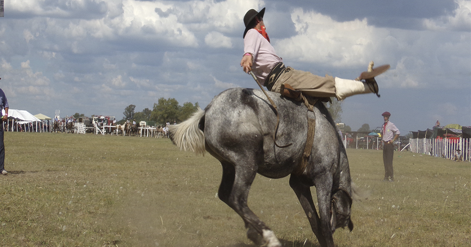 lapeppi GAUCHA... DOMA
