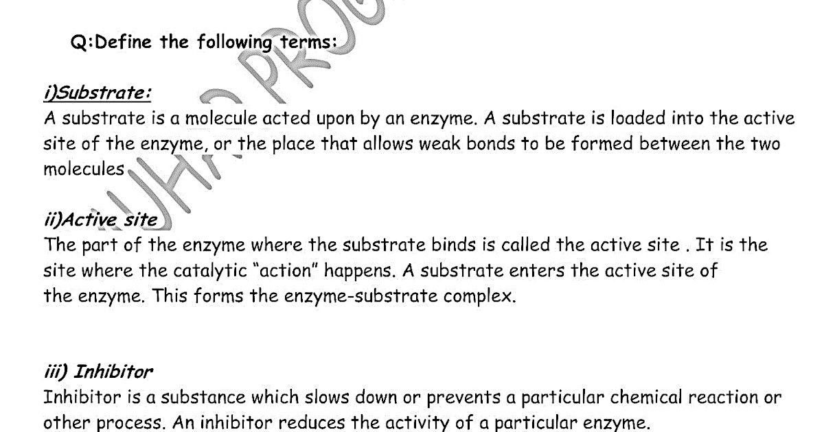 Enzyme paragraph picture