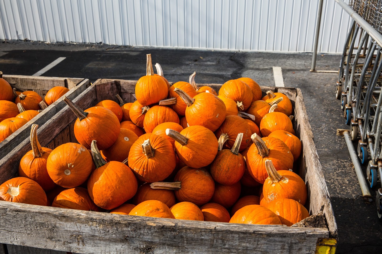 Lincoln's Domain Huber's Farm Clark County, Indiana