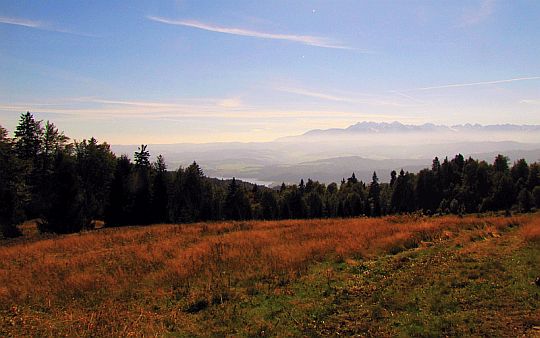 Polana Kudów. Polana Kudów.