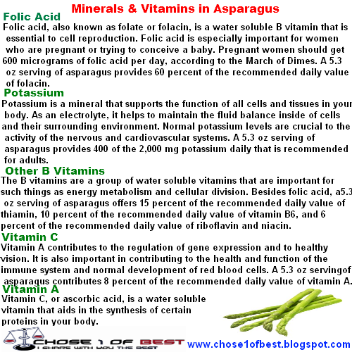 Chose1ofBest Asparagus calories The Truth about asparagus calories