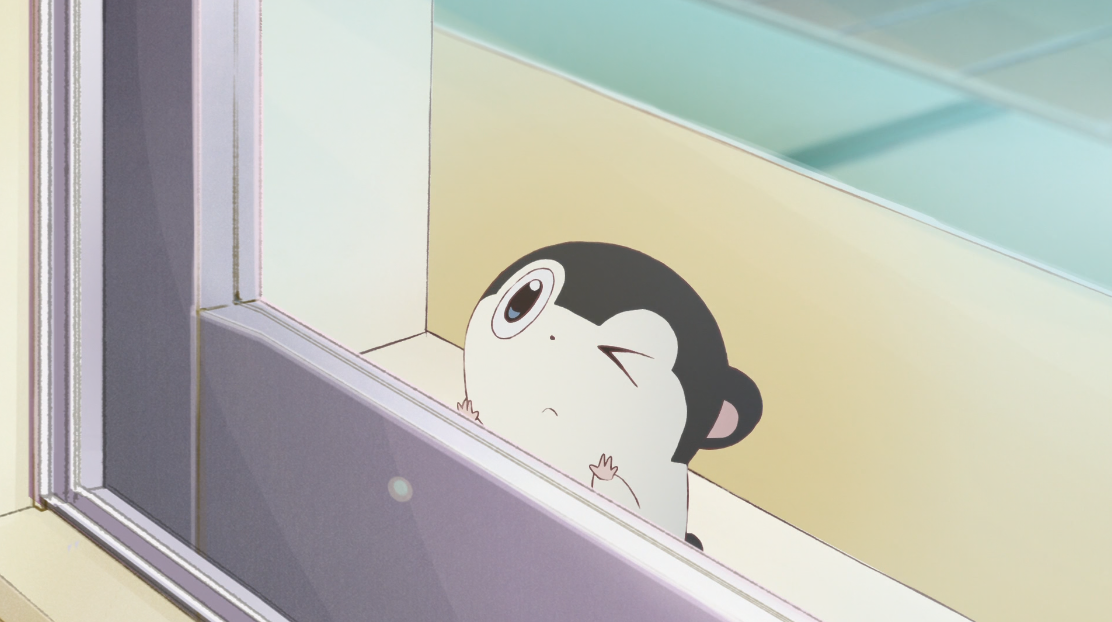 Download Baja No Studio Es Bouz Free HD Get Wallpaper Baja No Studio Es Bouz For iPhone Free