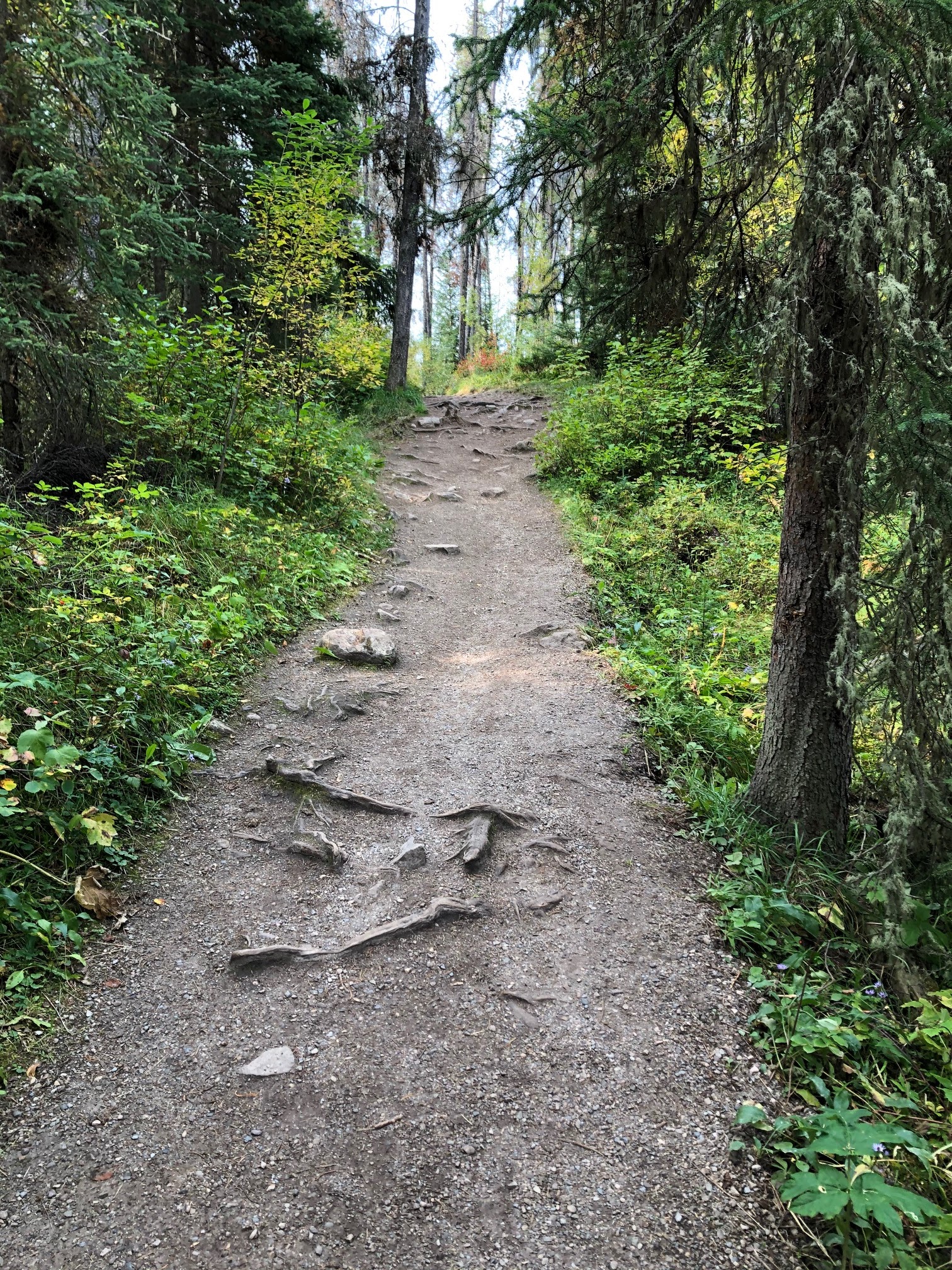 Paddling Near Edmonton, Alberta, Canada Horseshoe Lake, Jasper