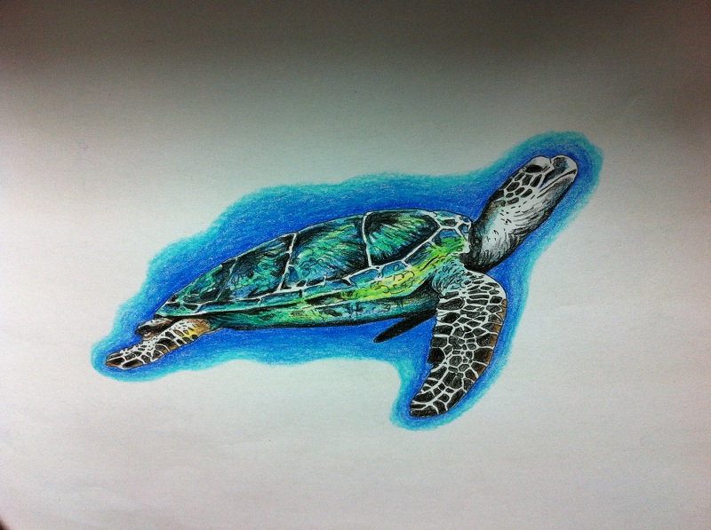 Sea Turtle Tattoo ~ The Tattooed Blog