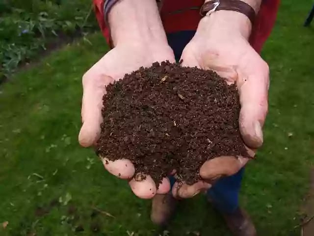 How To Make Vermicompost At Home - Step By Step Guidance