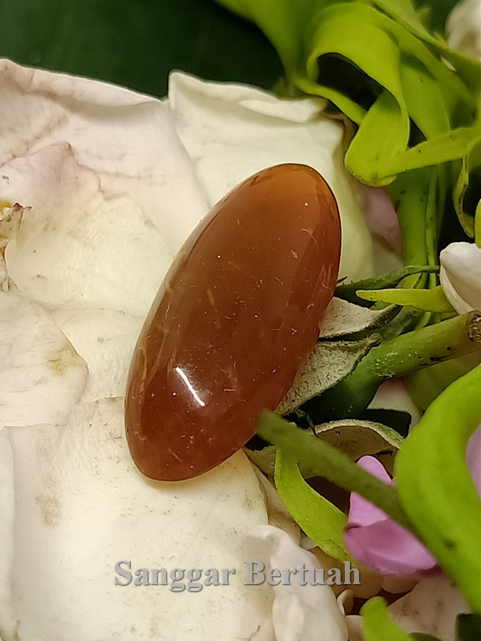 Gambar Peraturan Susuk Voli