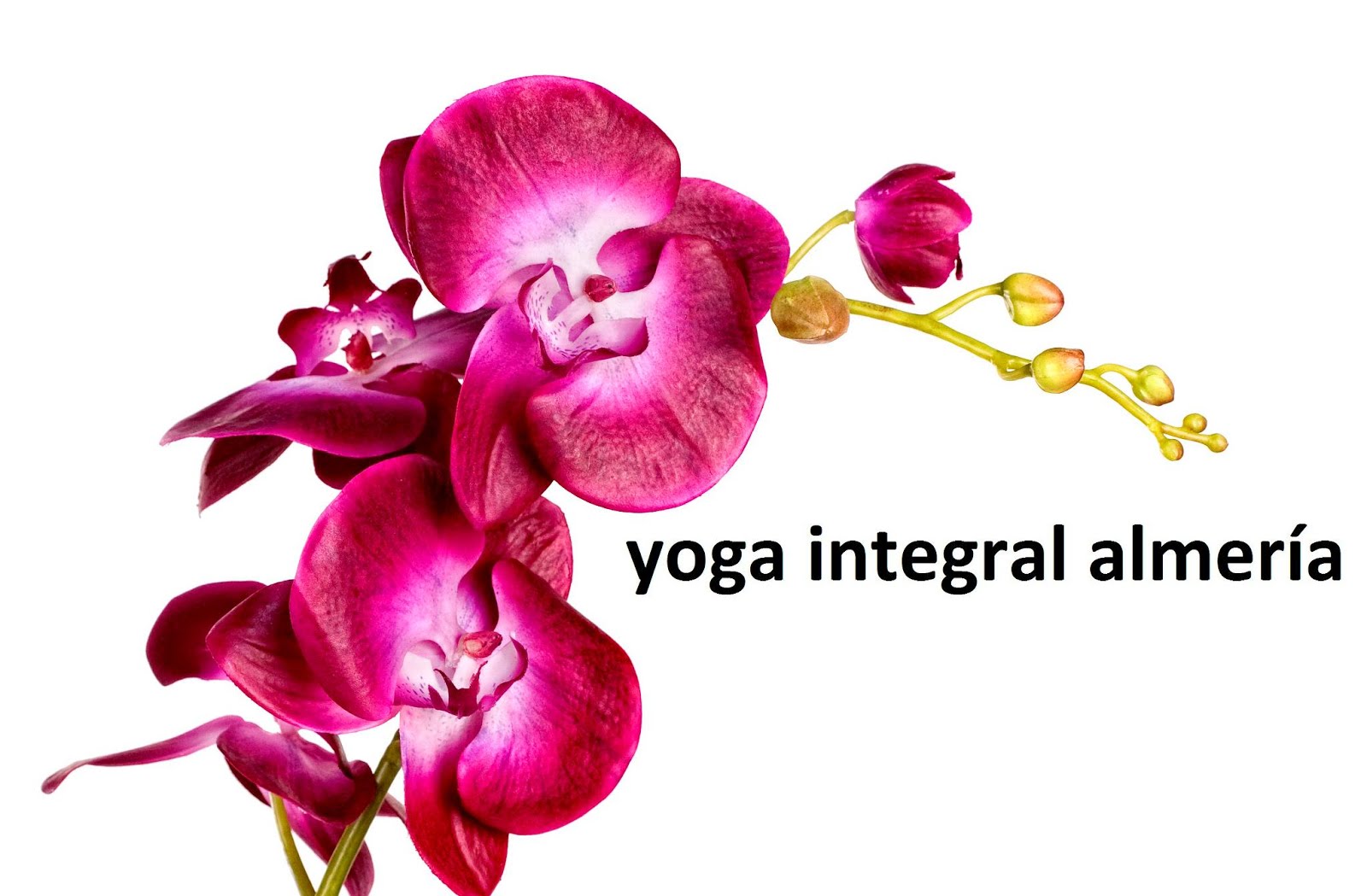 Yoga Integral Almería