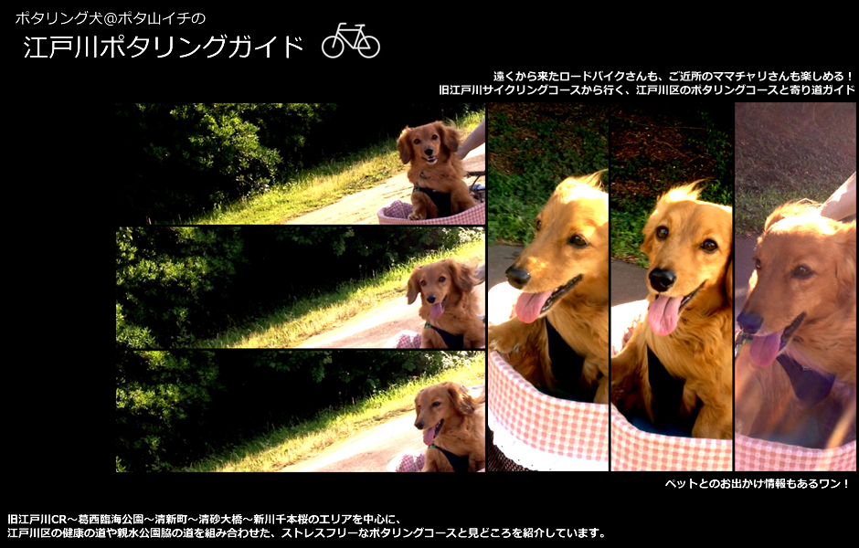 ポタリング犬＠ポタ山イチの江戸川ポタリングガイド