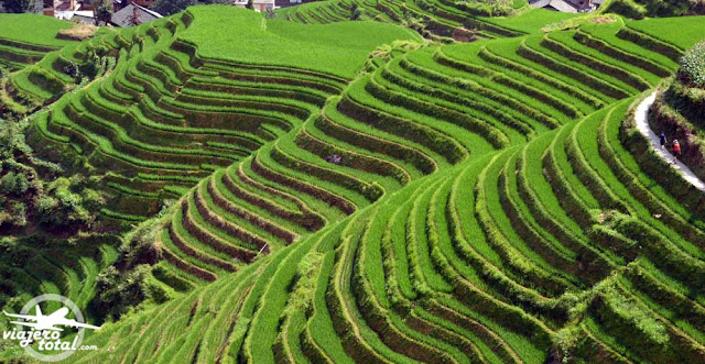 Ping'An Village - Arrozales de Longji - Longsheng - China