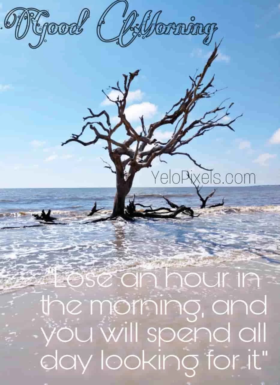 losing an one is not big dell for you ask the old people what that mean by wasting one hour in life losing-an-one-hour-is-not-big-dell-for-you-ask-the-old-people-what-is-wasting-time-in-your-life