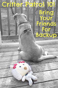 Critter Patrol 101: Bring Your Friends for Backup! #seniordog #rescuedog #houndlife #LapdogCreations ©LapdogCreations