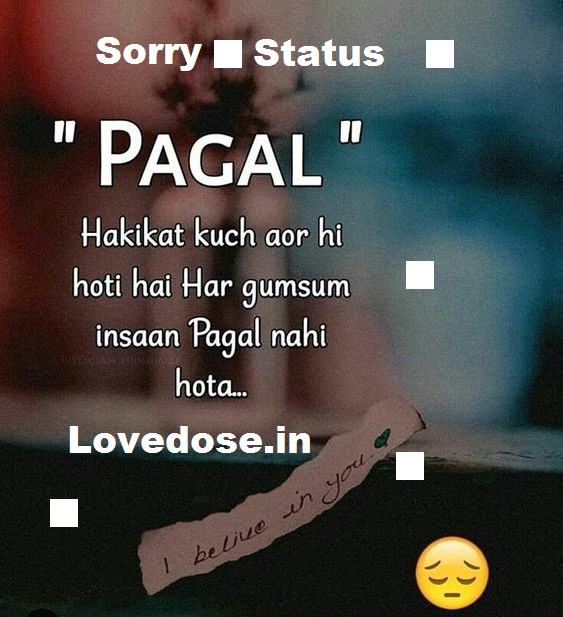 Sorry Status In Hindi