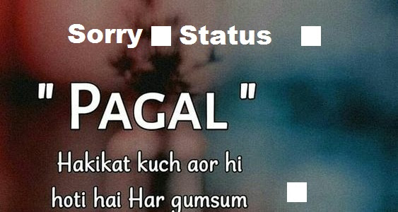 101+ Sorry Status In Hindi [Sorry Status For Girlfriend/Boyfriend]