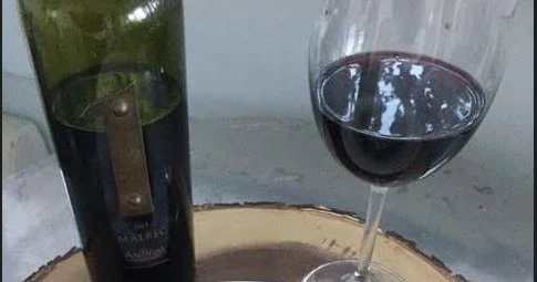 Antigal One Malbec and the Domestic Arts - Wine and Book review