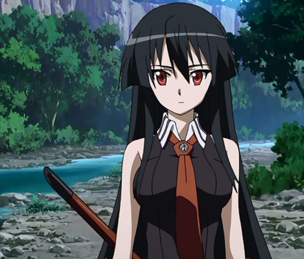Anime Hotties: Akame