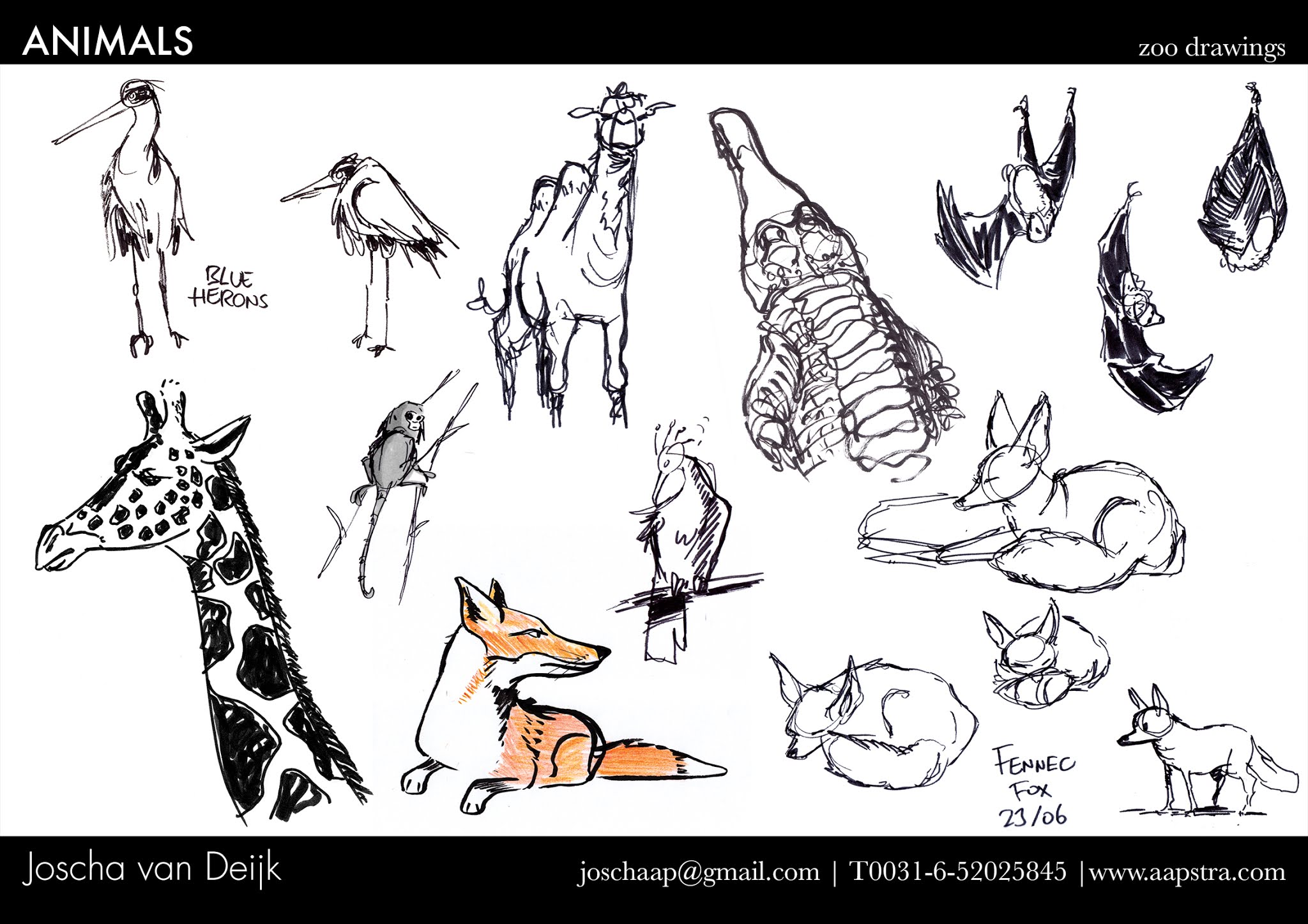 Joscha van Deijk Storyboards: Portfolio