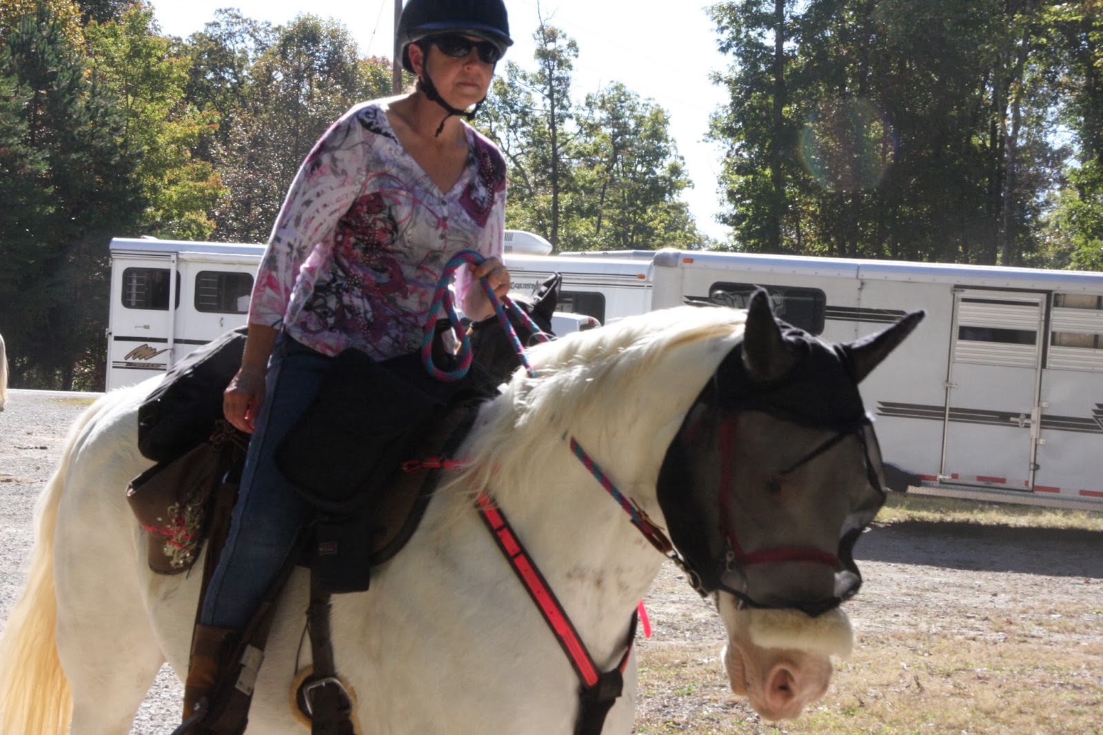 Foxtrotting Trail Riders Of Tennessee