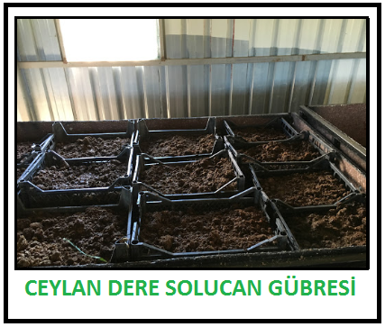 Solucan Satan Firmalar 0532 Kirmizi Kaliforniya Solucani Satisi Satan Yerler Satin Al Fiyatlari Satilik Solucan