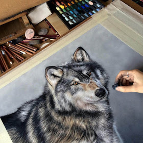 09-Nuka-the-Wolf-Danielle-Fisher-Realistic-Animal-Portrait-Pastel-Drawings-www-designstack-co