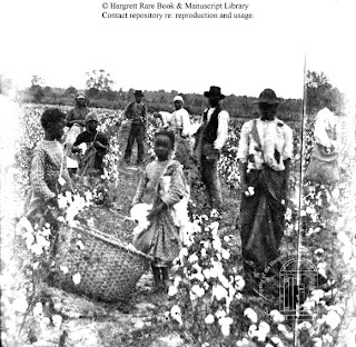US Slave: Slave Grown Cotton in a Global Economy: Mississippi (1800-1860)