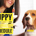 Puppy Vaccination Schedule