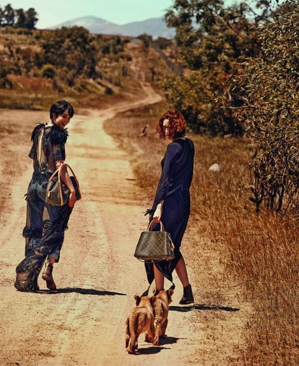 Louis Vuitton South Africa Instagram Posters