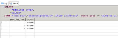 Execution management by HANA Graphical Calculation View