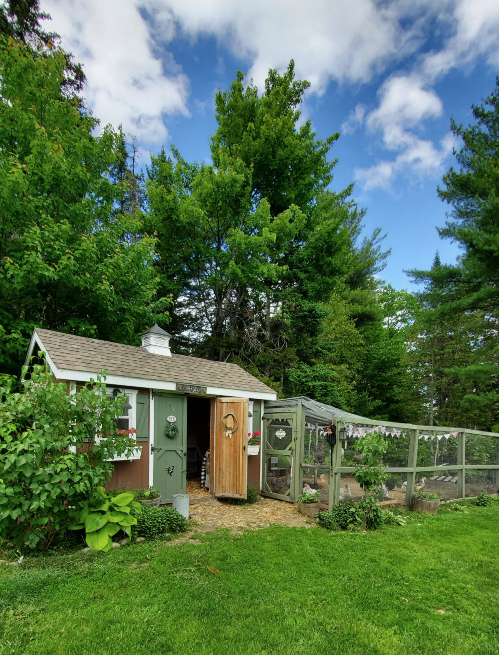 Chicken Coop and Run VIDEO Tour! Fresh Eggs Daily® with Lisa Steele