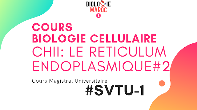 LE RÉTICULUM ENDOPLASMIQUE #2 -Ch II- Cours Biologie Cellulaire SVT S1 pdf cours biologie cellulaire s1 biologie cellulaire s1 biologie cellulaire cours s1