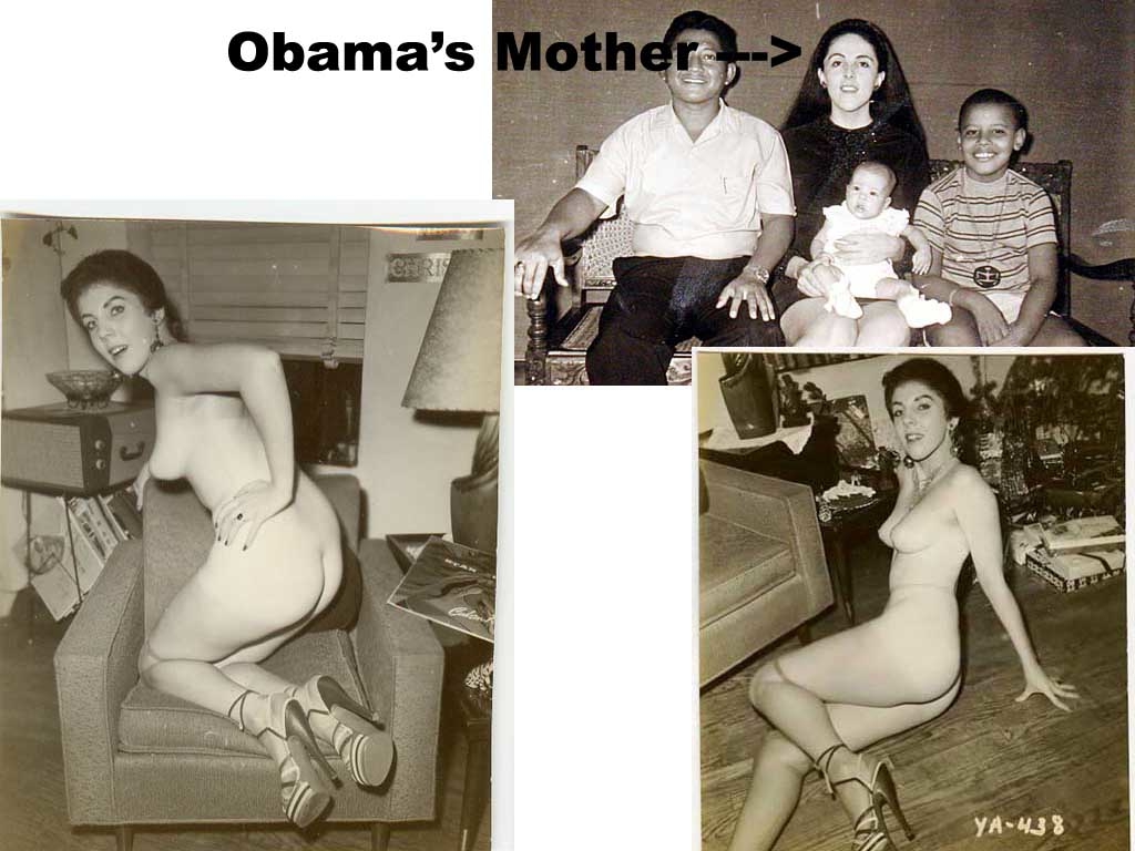 Obama isn't even pure negro... his mother was a white trash floozy coa...